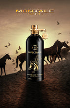 Montale Arabians Tonka Eau de Parfum Kampagnenmotiv
