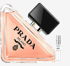 Paradoxa